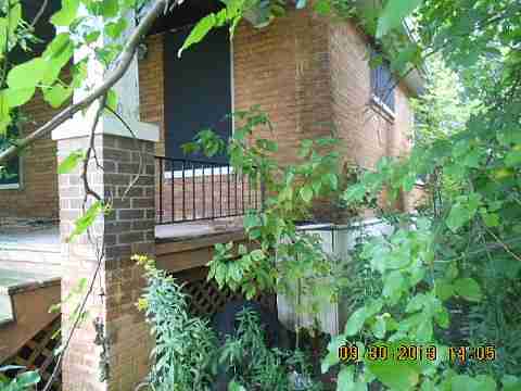 6637 Majestic (2)_m.jpg